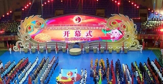 2014年9月-广西少数民族运动会开闭幕式